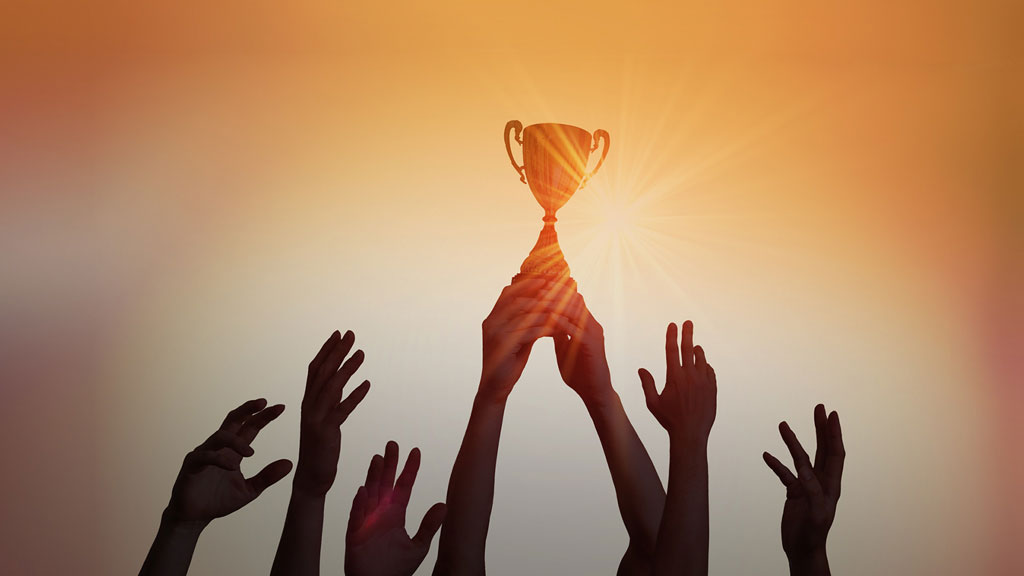 Incentive and Reward Programs